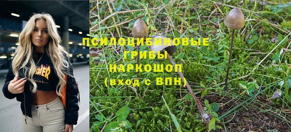 твердый Абинск